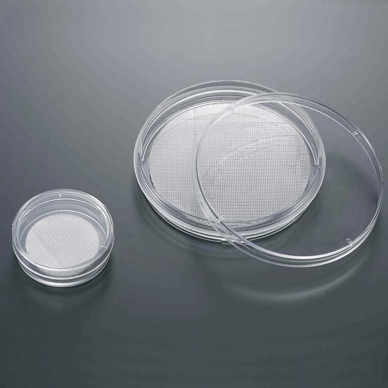 3D细胞培养皿