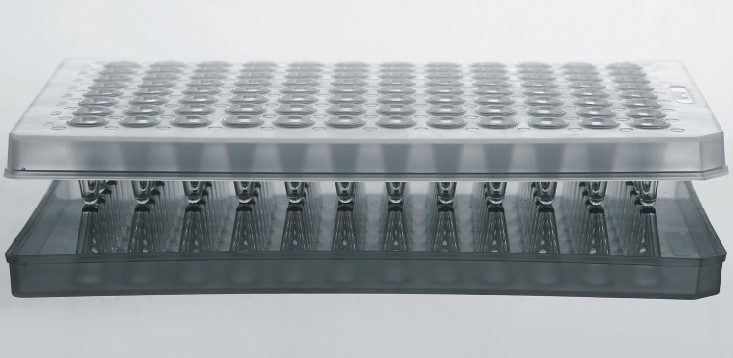 PCR96孔板