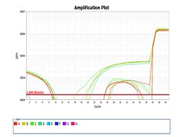 荧光定量PCR曲线怎么看，有什么特征？