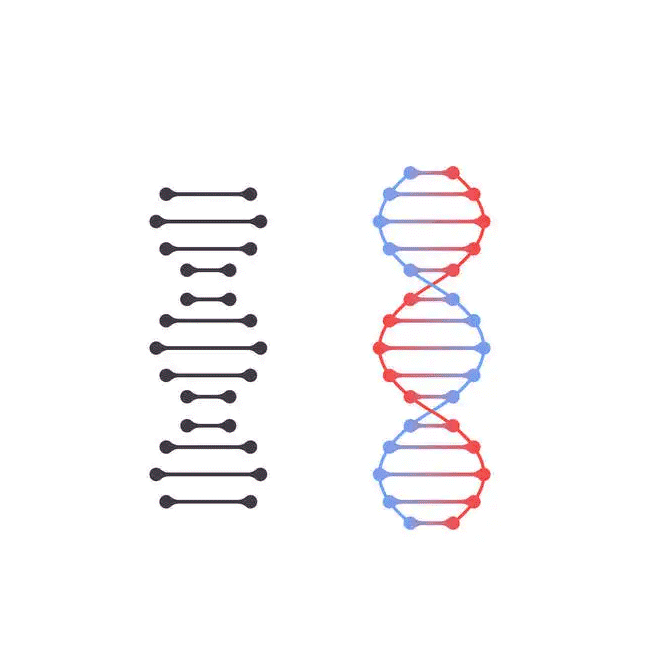 人 CYP4F2+ 氧化还原酶+b5,货号RYH308725[Gentest¦0.5 NMOL]