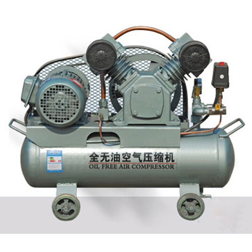 阿特拉斯VW-0.22/8全无油空压机