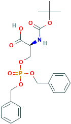 N-叔丁氧羰基-O-(二苄基膦酰)-L-丝氨酸,90013-45-9[TRC¦250mg]
