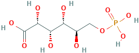 6-磷酸葡萄糖酸,921-62-0[SIGMA-ALDRICH¦1G],有机磷类有机物