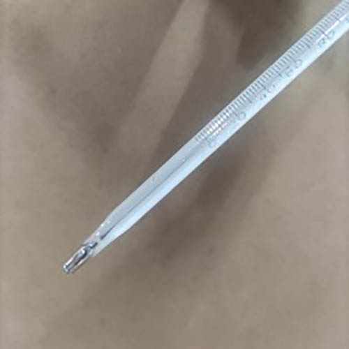 溜点温度计 溜点温度计 0+200℃/支