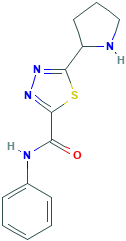N-苯基-5-吡咯烷-2-基-1,3,4-噻二唑-2-甲酰胺,1217863-00-7[Key Organics&brvbar;1g]