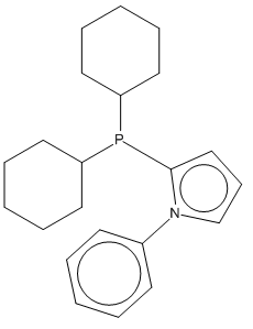2-(二环己基膦酰基)-1-苯基-1H-吡咯,CAS登录号672937-60-9[凯为化学&brvbar;250mg]