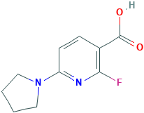 2-氟-6-(吡咯烷-1-基)烟酸,CAS登录号1203499-55-1[Matrix&brvbar;500mg]