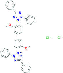 氯化四氮唑兰,1871-22-3[Alfa&brvbar;25g],四唑类杂环有机物