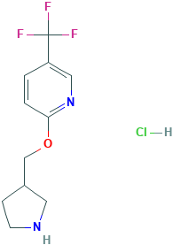3-吡咯烷基甲基 5-(三氟甲基)-2-吡啶基 醚 盐酸盐,1220016-81-8[matrix¦500mg]
