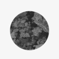 纳米钌粉-实验室蒸发镀膜耗材系列