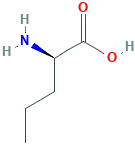 D-正缬氨酸,2013-12-9[毕得&brvbar;500g],胺类官能团有机物