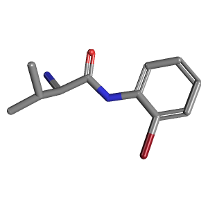 氨基-甲基丁胺(C11H15BrN2O),CAS 1103353-51-0,「Fluorochem」S22690758-500mg C11H15BrN2O_3D图