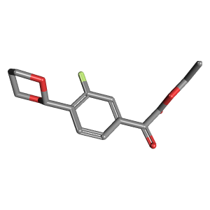 二恶烷-氟苯甲酰基乙酯(C14H15FO5),CAS 951888-40-7,「Fluorochem」E24722262-2g C14H15FO5_3D图