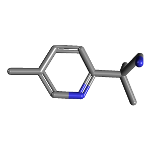 甲基吡啶-胺(C10H16N2),CAS 929022-01-5,「Fluorochem」M53485452-1g C10H16N2_3D图