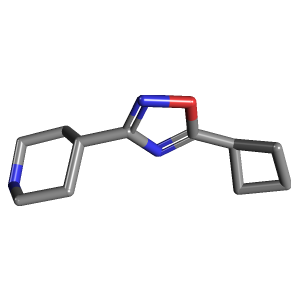 环丁基_哌啶(C11H17N3O),CAS 1341168-05-5,「Fluorochem」C63015220-1g C11H17N3O_3D图
