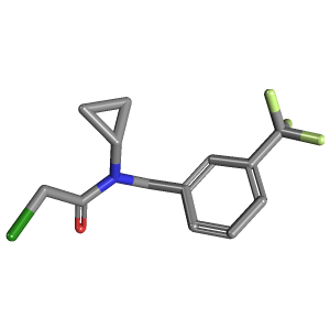 苄基_乙酰胺(C13H13ClF3NO),CAS 1353963-68-4,「Fluorochem」C66568399-500mg C13H13ClF3NO_3D图