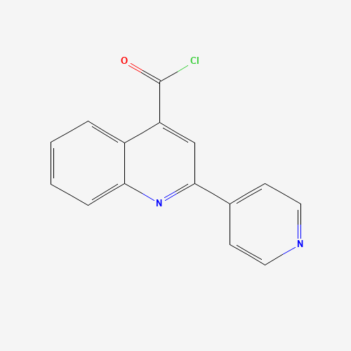 2-吡啶-4-羟基喹啉-4-羰基氯盐酸盐,CAS 740064-57-7,「Fluorochem」P10683367-10g