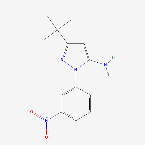 硝基苯基-胺(C13H16N4O2),CAS 476637-05-5,「Fluorochem」T11065174-2g