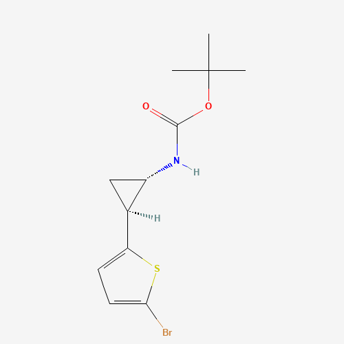 叔丁基N-[（1S_2S）-Rel-2-（5-溴噻吩-2-Yl）环丙基]氨基甲酸酯,CAS 1379466-13-3,「Fluorochem」T125461908-1g