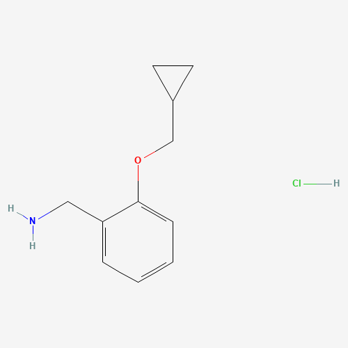 1-[2-（环丙基甲氧基）苯基]盐酸甲胺,CAS 2097884-29-0,「Fluorochem」C126854444-1g