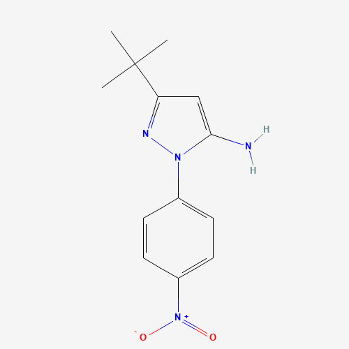 叔丁基_胺(C13H16N4O2),CAS 251658-55-6,「Fluorochem」T1302360-25g