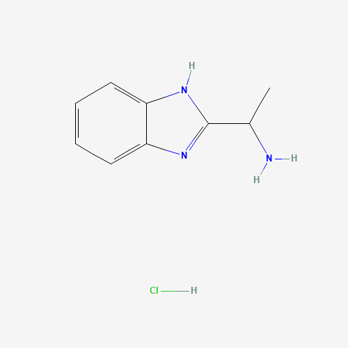 1-（1H-苯并咪唑-2-基）乙胺盐酸盐,CAS 853789-10-3,「源叶」H16247848-5g