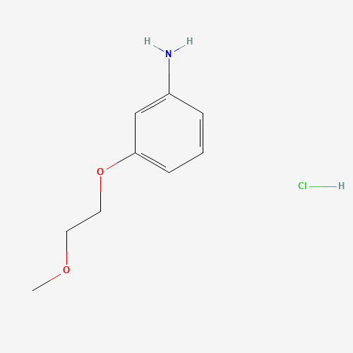 [3-（2-甲氧基乙氧基）苯基]胺盐酸盐,CAS 131770-50-8,「Fluorochem」M16640685-5g