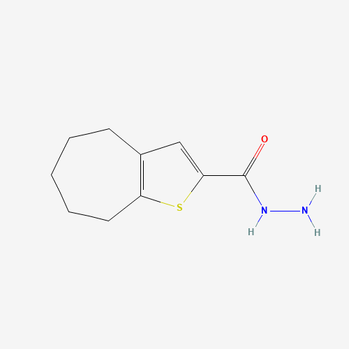 四氢_酰肼(C10H14N2OS),CAS 588696-80-4,「Fluorochem」T3470425-10g
