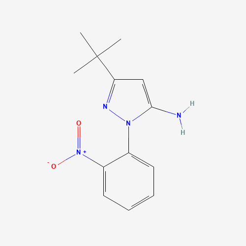 叔丁基_胺(C13H16N4O2),CAS 1154198-84-1,「Fluorochem」T43381261-2g