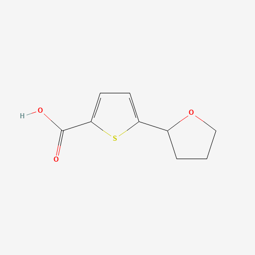 5-（四氢呋喃-2-Yl）噻吩-2-羧酸,CAS 959237-71-9,「Fluorochem」T45791088-1g