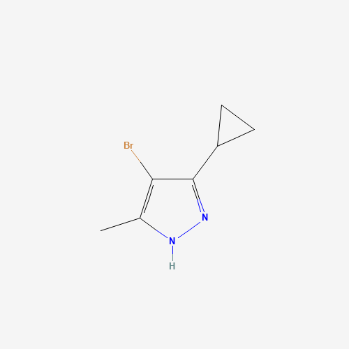 4-溴-5-环丙基-3-甲基-1H-吡唑,CAS 1287752-84-4,「Fluorochem」B45791275-1g