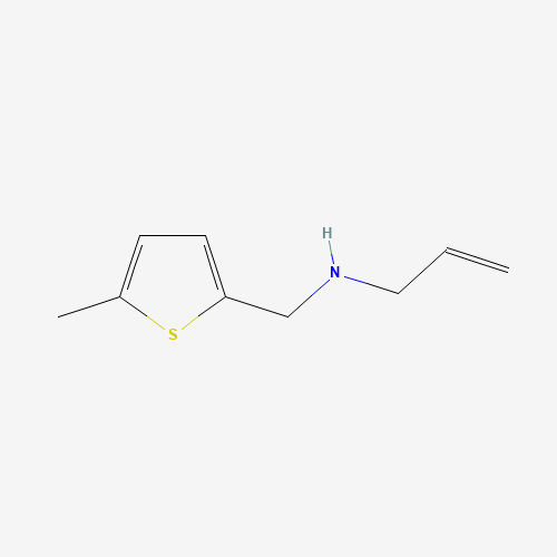 甲基_胺(C9H13NS),CAS 893569-89-6,「Fluorochem」N4717919-5g