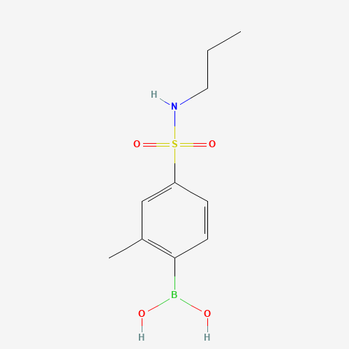 2-甲基-4-（N-丙基磺胺基）苯基硼酸,CAS 1217501-47-7,「Fluorochem」M53216347-1g