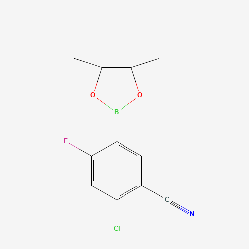 四甲基_苯腈(C13H14BClFNO2),CAS 1218790-13-6,「源叶」C53217161-5g