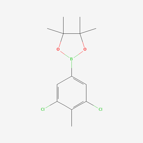 二氯_甲基苯基硼酸频哪醇酯制备(C13H17BCl2O2),CAS 942069-73-0报价,「源叶」D53217164-1g