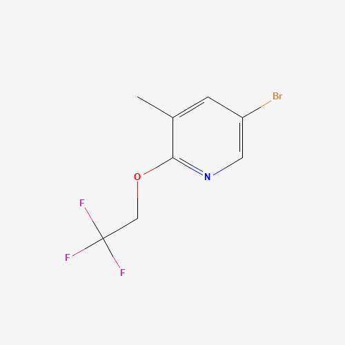 甲基_吡啶(C8H7BrF3NO),CAS 1187930-58-0,「Fluorochem」B53408114-1g