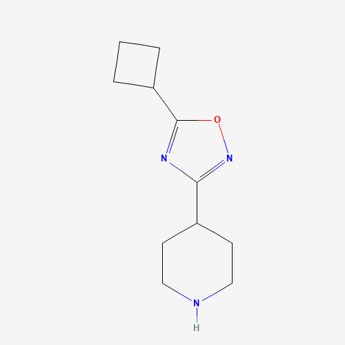 环丁基_哌啶(C11H17N3O),CAS 1341168-05-5,「Fluorochem」C63015220-1g