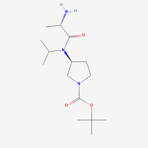 吡咯烷-羧酸叔丁酯(C15H29N3O3),CAS 1401666-40-7,「Fluorochem」S66564122-500mg