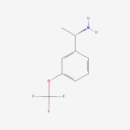 苯基_胺(C9H10F3NO),CAS 1228542-85-5,「Fluorochem」S67136088-1g