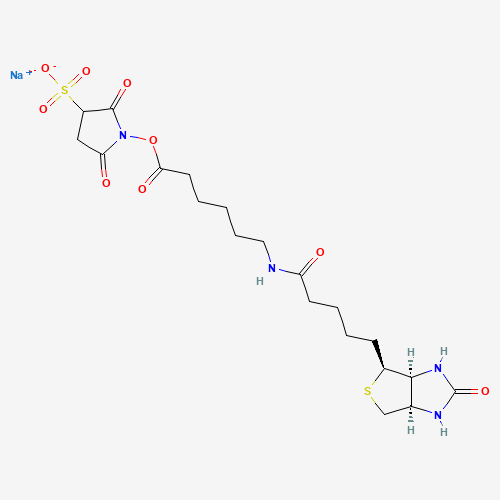 磺基_羟基琥珀酰亚胺酯钠盐制备,CAS 127062-22-0报价,「Sigma-Aldrich」S71571497-50MG