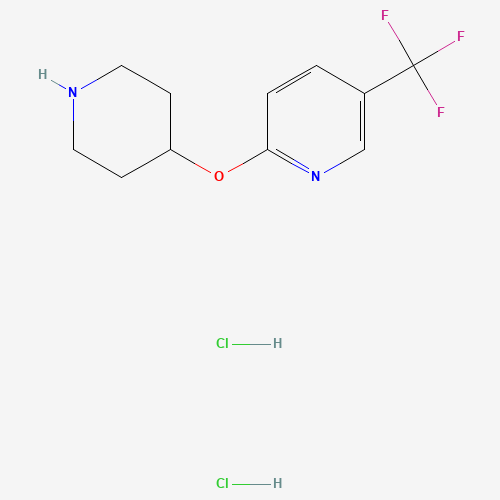 异恶唑基-噻吩磺酰氯(C11H15Cl2F3N2O),CAS 1236458-57-3,「安耐吉」P71779150-5g