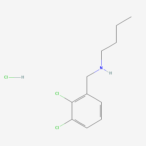 丁基[（2,3-二氯苯基）甲基]胺盐酸盐,CAS 1240578-71-5,「Fluorochem」B75357724-2g
