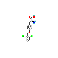 H-Tyr（2,6-Cl2-Bzl）-噢,CAS 40298-69-9,「Fluorochem」H10688485-5g