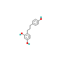 4-[3-（4-羟基苯基）丙基]间苯二酚,CAS 376361-97-6,「麦克林」H10900865-5mg