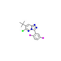 三唑并_吡啶(C15H13ClF2N4),CAS 286456-54-0,「源叶」T11255748-10mg
