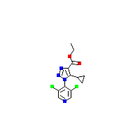三唑_羧酸乙酯制备(C13H12Cl2N4O2),三唑_羧酸乙酯(CAS 1951441-56-7)报价,「Fluorochem」C118993029-1g