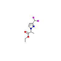 吡唑-丙酸乙酯(C9H12F2N2O2),CAS 1823432-40-1,「Fluorochem」E119056318-5g