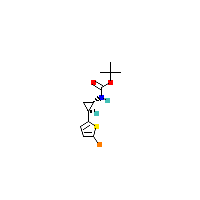 叔丁基N-[（1S_2S）-Rel-2-（5-溴噻吩-2-Yl）环丙基]氨基甲酸酯,CAS 1379466-13-3,「Fluorochem」T125461908-1g