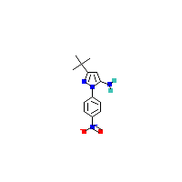 叔丁基_胺(C13H16N4O2),CAS 251658-55-6,「Fluorochem」T1302360-25g