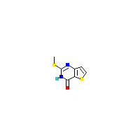 2-（甲硫基）噻吩[3,2-d]嘧啶-4（3H）-酮,CAS 176530-46-4,「源叶」M135473674-1g
